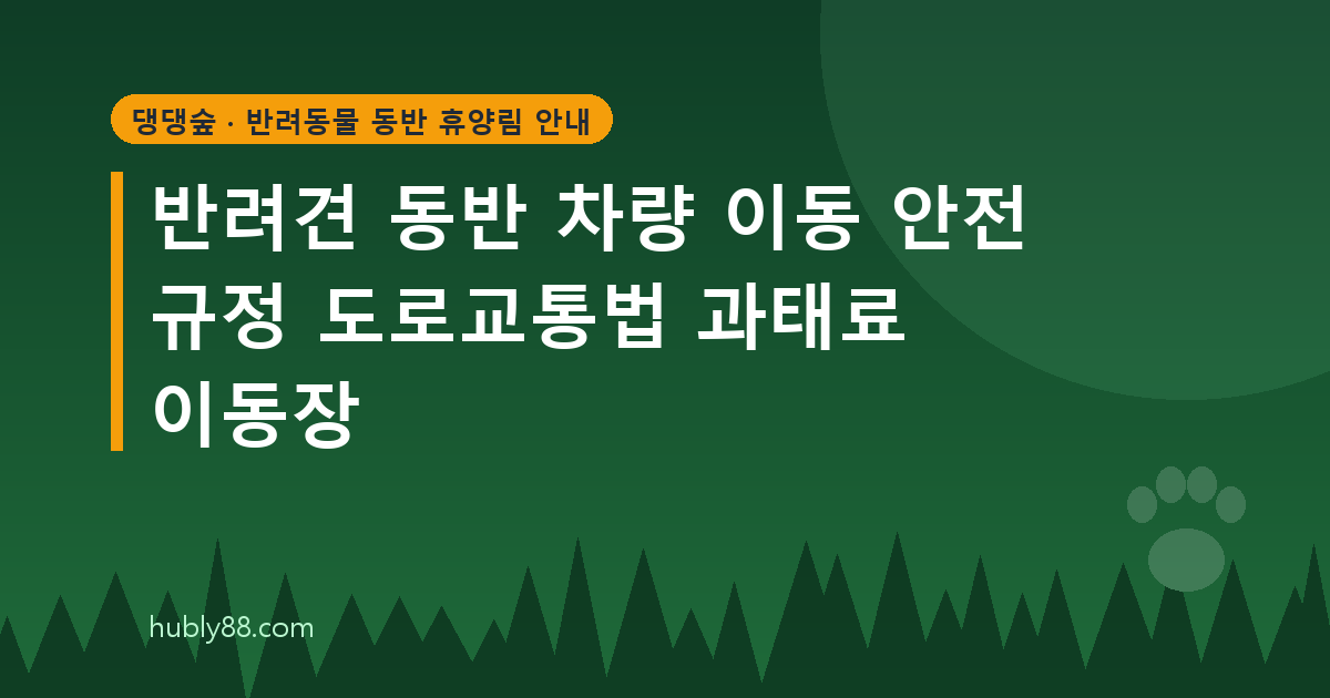 반려견과 차로 이동할 때 지켜야 할 안전 규정